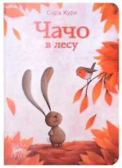 Чачо в лесу