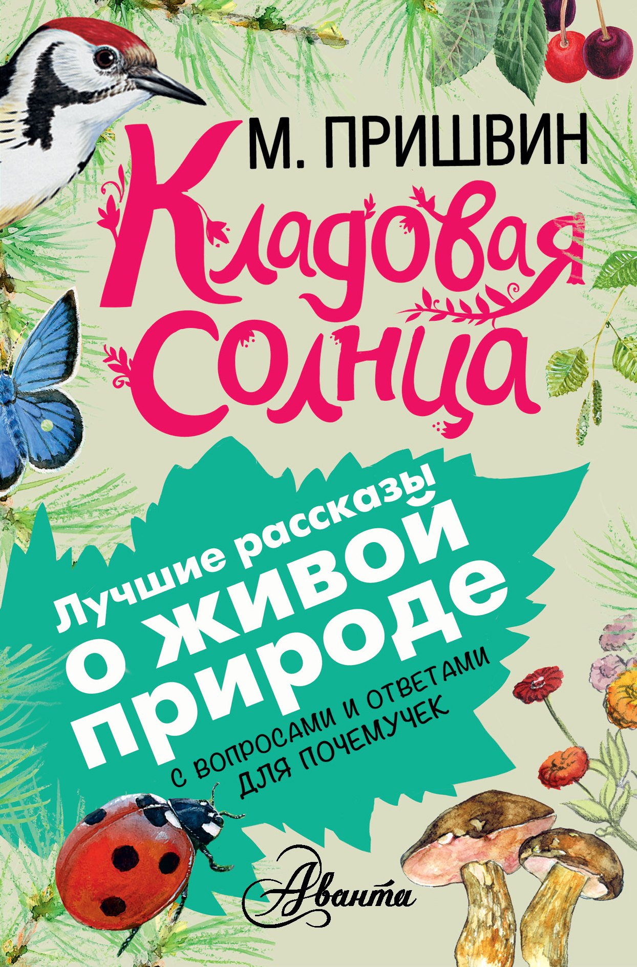 

Кладовая солнца