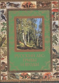Русский лес: грибы и ягоды
