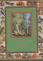 Русский лес: грибы и ягоды