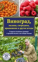 Виноград, малина, смородина, крыжовник и другие ягоды