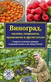 Виноград, малина, смородина, крыжовник и другие ягоды