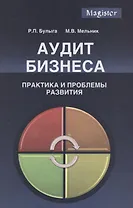 Аудит бизнеса Практика и проблемы развития (Magister) Булыга
