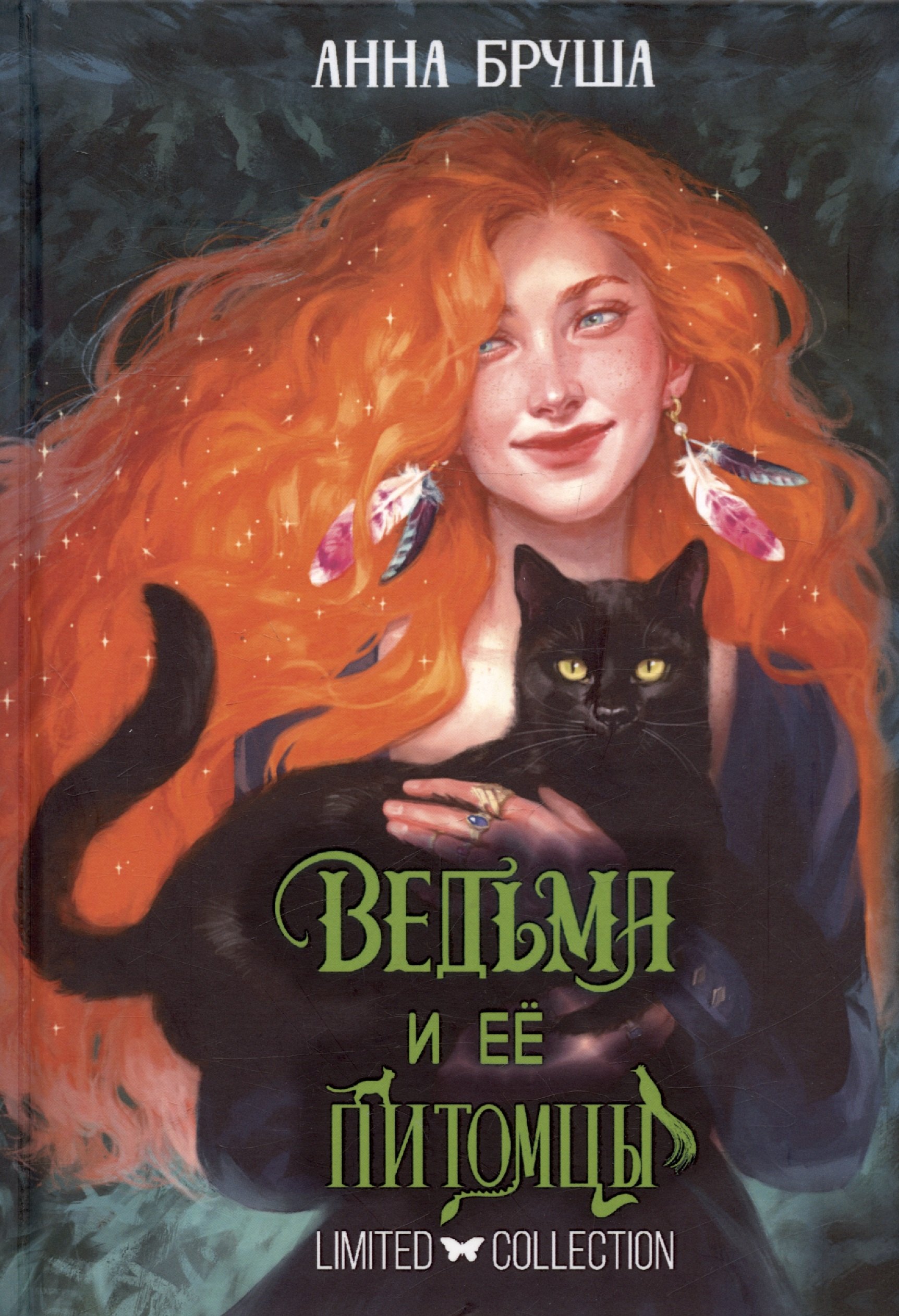 

Ведьма и ее питомцы