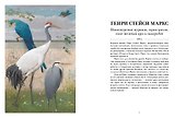 Такие разные ПТИЦЫ в произведениях искусства - 2