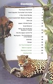The Amazon Rainforest II. Книга для чтения - 1