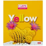 Папка-обложка для тетради со сменными блоками А5 "YELLOW" 2 кольца, глянц.ламин., ассорти