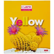 Папка-обложка для тетради со сменными блоками А5 "YELLOW" 2 кольца, глянц.ламин., ассорти