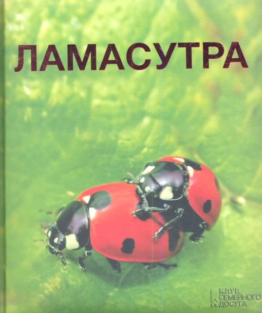 

Камасутра