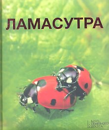 Камасутра