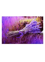 Доска для нарезки Лаванда (стекло) (30x20) (CB-Лаванда) (в подар.упаков.) GiftLand