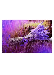 Доска для нарезки Лаванда (стекло) (30x20) (CB-Лаванда) (в подар.упаков.) GiftLand