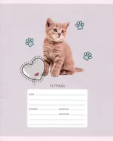 Тетрадь в линейку Listoff, "Мяу!", 18 листов