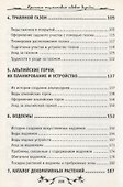 Современный ландшафтный дизайн вашего сада - 2