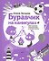 Буравчик на каникулах. Виртуальные приключения в летнем лагере - 0