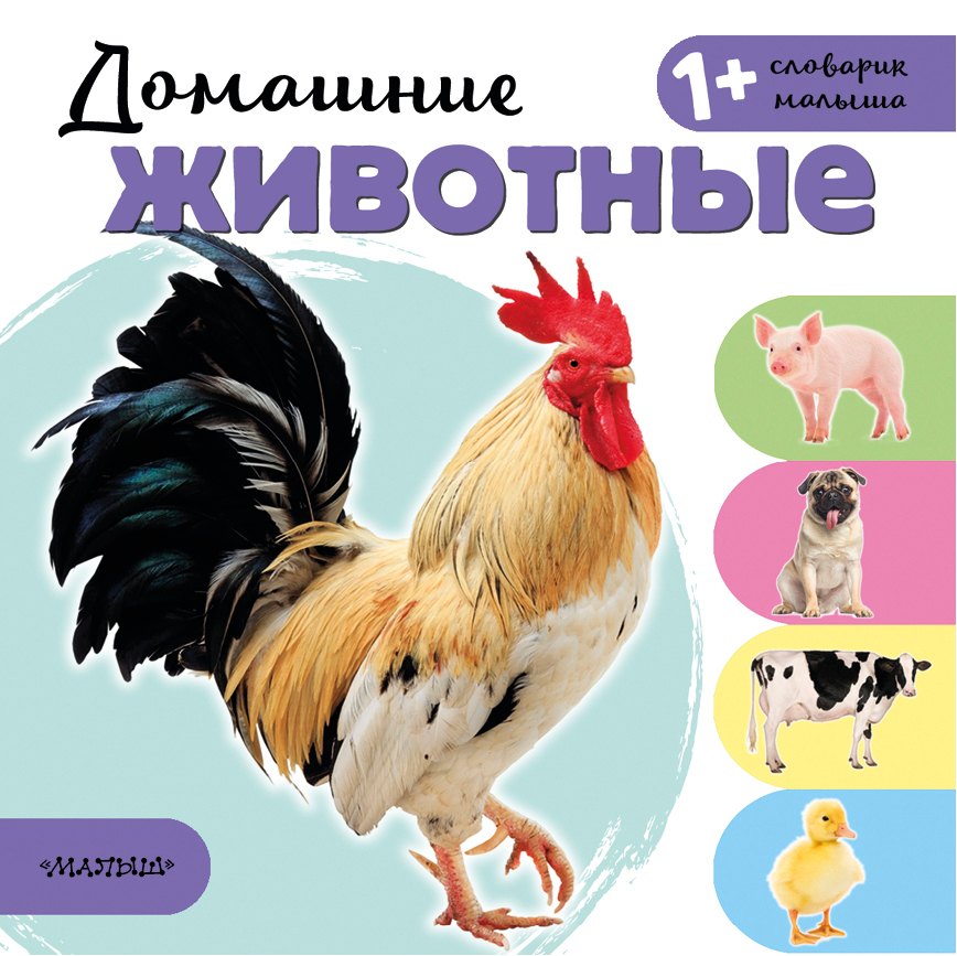 

Домашние животные