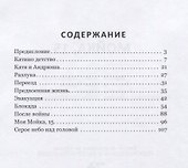 Мойка, 15 - 1