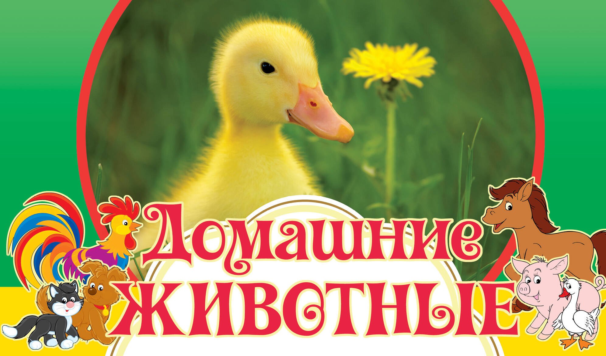 Домашние животные