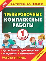 Тренировочные комплексные работы. 1-й класс: с заданиями для парной работы: русский язык, окружающий мир, литература, математика