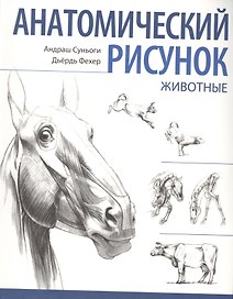 Анатомический рисунок. Животные