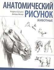 Анатомический рисунок. Животные