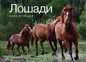 Лошади. Сила и грация