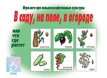 В саду, на поле, в огороде. Игра-лото
