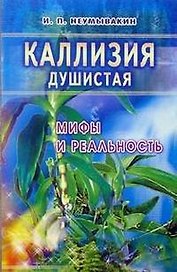 Золотой ус: Мифы и реальность