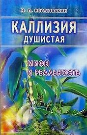 Золотой ус: Мифы и реальность