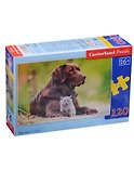 Пазл Castorland MIDI Собака и котенок 120эл., 32*23см - 2