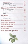 Лето на память. Моя первая коллекция растений - 2