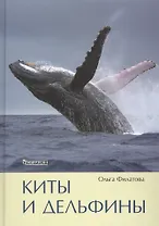 Киты и дельфины