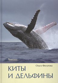 Киты и дельфины