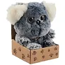 Коала в крафт коробке
