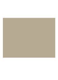Бумага для пастели 50*65 "Mi-Teintes" 160г/м2 №407 кремовый, Canson