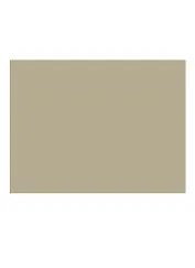 Бумага для пастели 50*65 "Mi-Teintes" 160г/м2 №407 кремовый, Canson