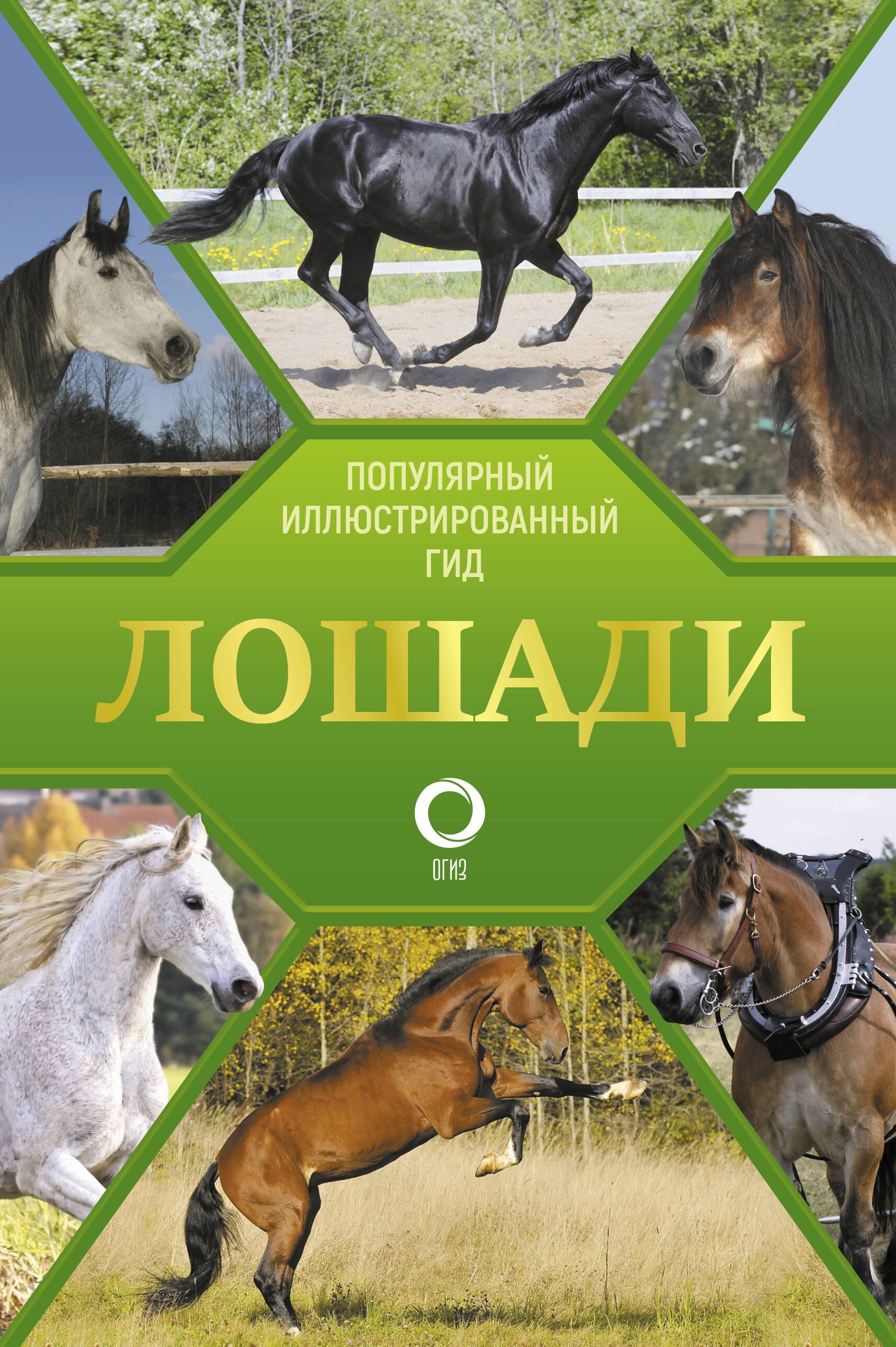 

Лошади. Иллюстрированный гид