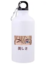 Бутылка с карабином Аниме Глаза (голубые) (металл) (500мл)