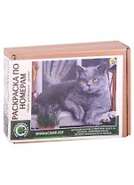 Раскраска по номерам. Британский кот