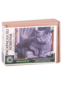 Картина-раскраска по номерам «Британский кот», 16,5 х 13 см, Рыжий Кот