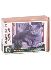 Раскраска по номерам. Британский кот