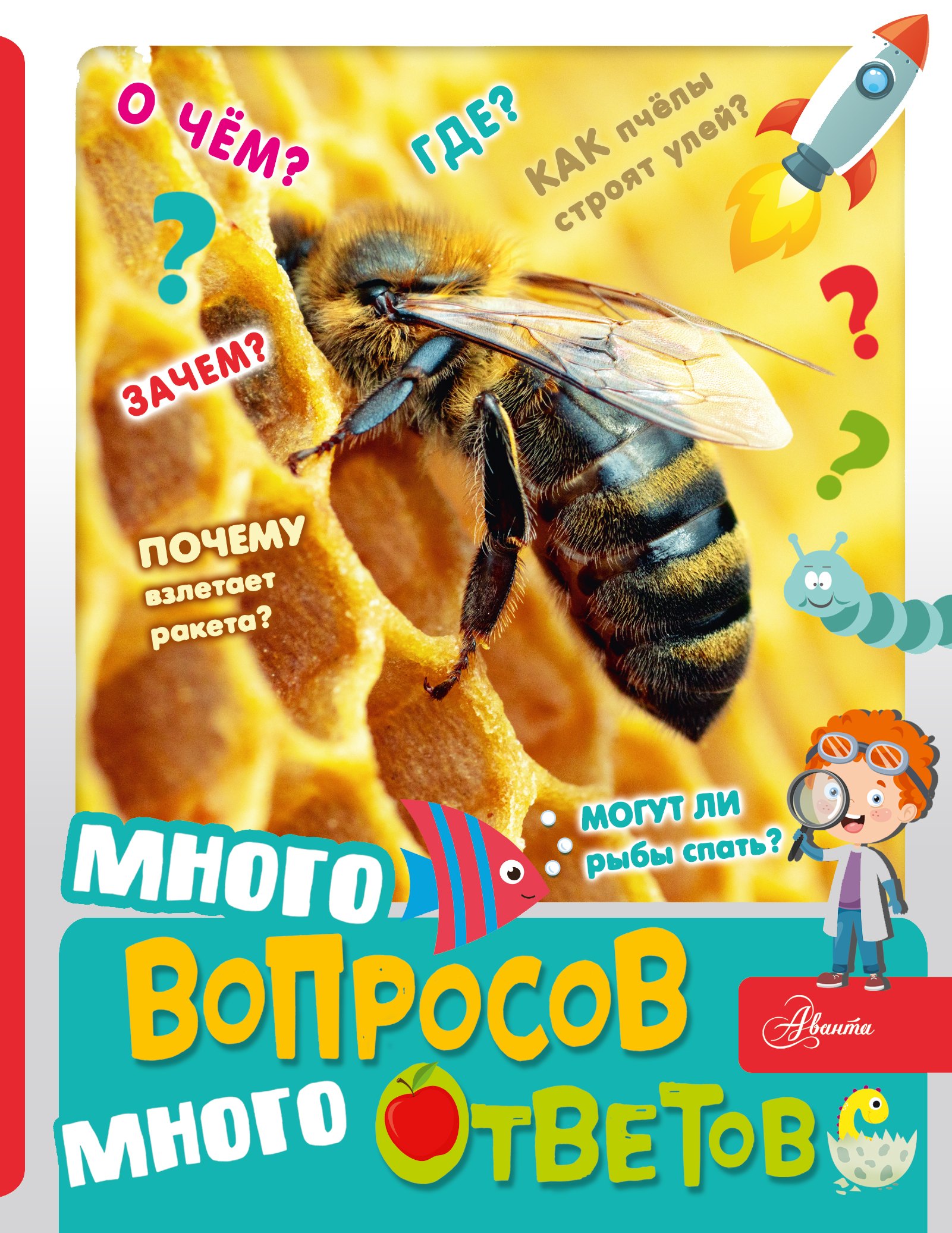 

Много вопросов, много ответов