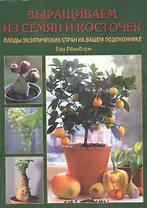 Выращиваем из семян и косточек: Плоды экзотических стран на вашем подоконнике