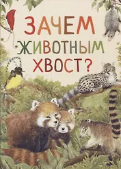 Зачем животным хвост?