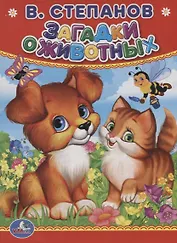 Загадки о животных.