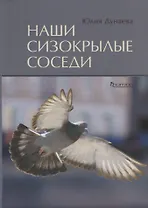 Наши сизокрылые соседи.