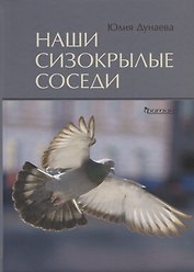 Наши сизокрылые соседи.