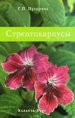 Стрептокарпусы.