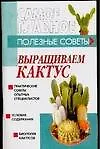 Выращиваем кактус