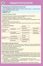 Общая гистология